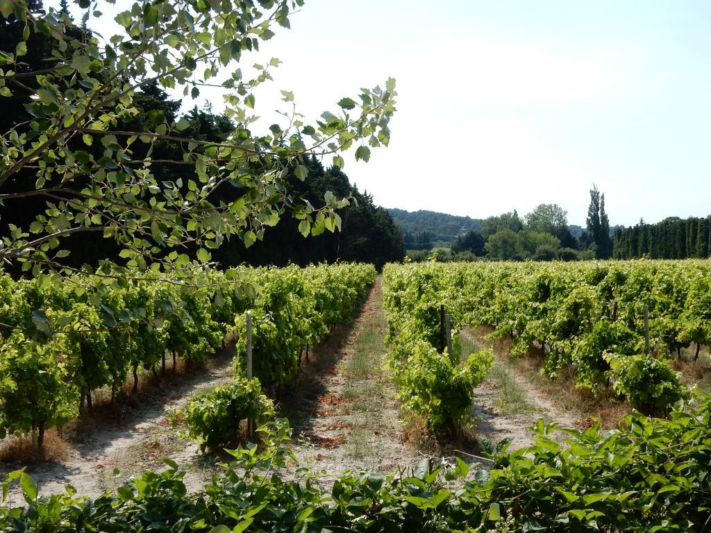 Domaine De Blanche Fleur Hotell Châteauneuf-de-Gadagne Exteriör bild