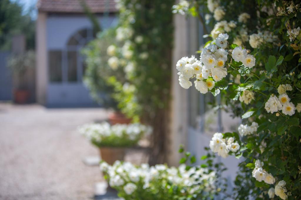 Domaine De Blanche Fleur Hotell Châteauneuf-de-Gadagne Exteriör bild
