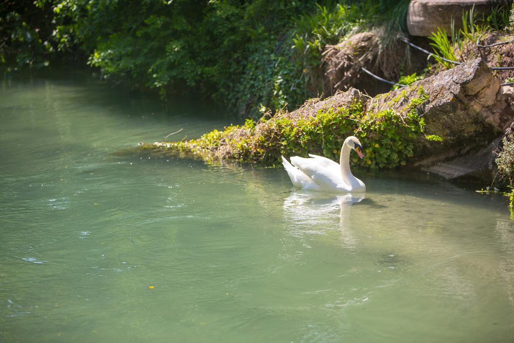 Domaine De Blanche Fleur Hotell Châteauneuf-de-Gadagne Exteriör bild